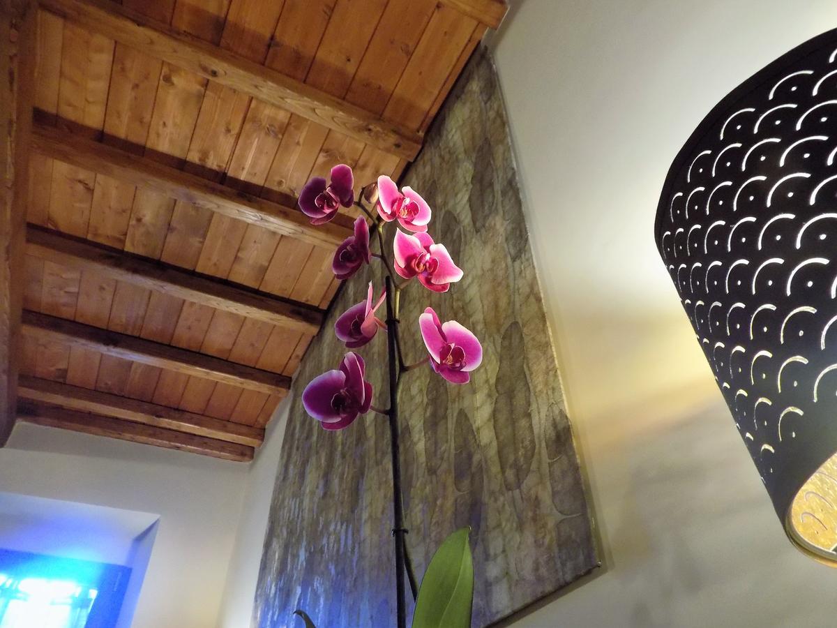 Al Cardinale Bed & Breakfast Viterbo Exterior foto